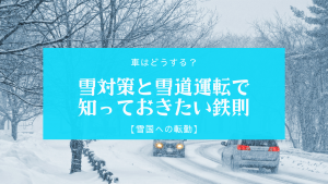 雪国の車